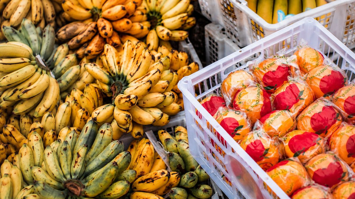 Factores que determinan el pardeamiento de frutas durante el almacenamiento poscosecha.jpg